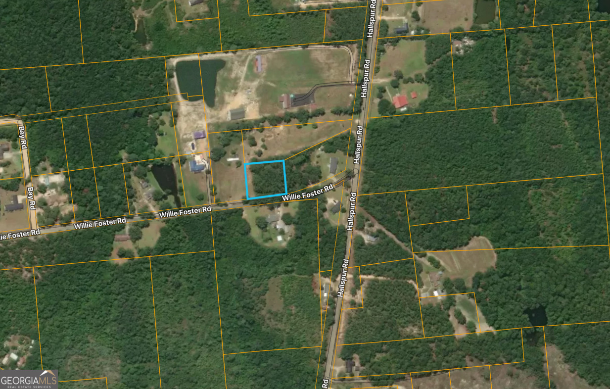 0 Willie Foster Road Hazlehurst, GA 31539 - Photo 1 of 2