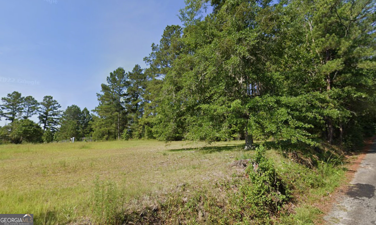 0 Willie Foster Road Hazlehurst, GA 31539 - Photo 2 of 2 a view of outdoor space and trees