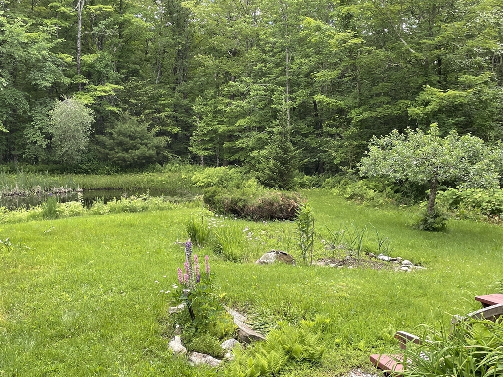 11 Damon Pond Road Chesterfield, MA 01012 - Photo 2 of 27