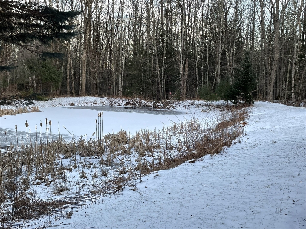 11 Damon Pond Road Chesterfield, MA 01012 - Photo 21 of 27