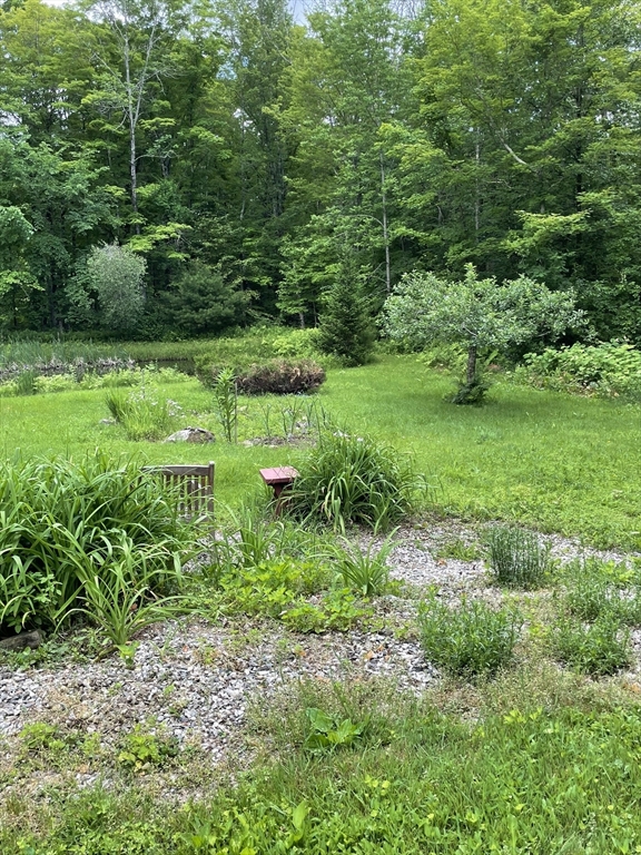 11 Damon Pond Road Chesterfield, MA 01012 - Photo 3 of 27