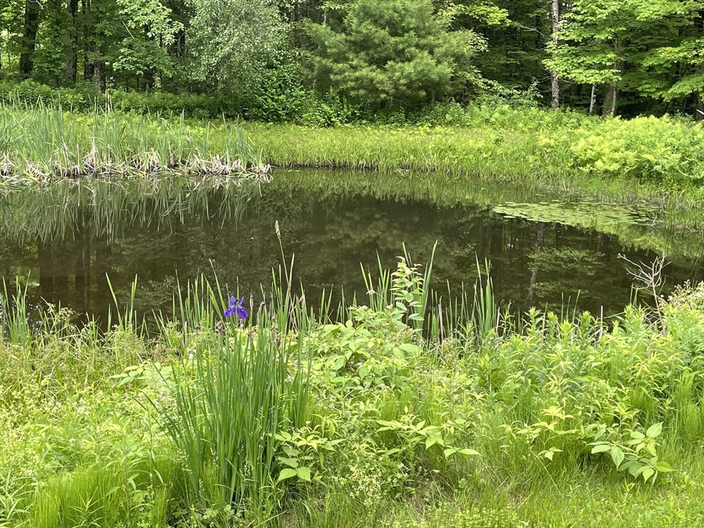 11 Damon Pond Road Chesterfield, MA 01012 - Photo 4 of 27