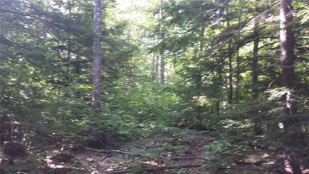 0 Sodom Road Buckfield, ME 04220 - Photo 12 of 27 Photo