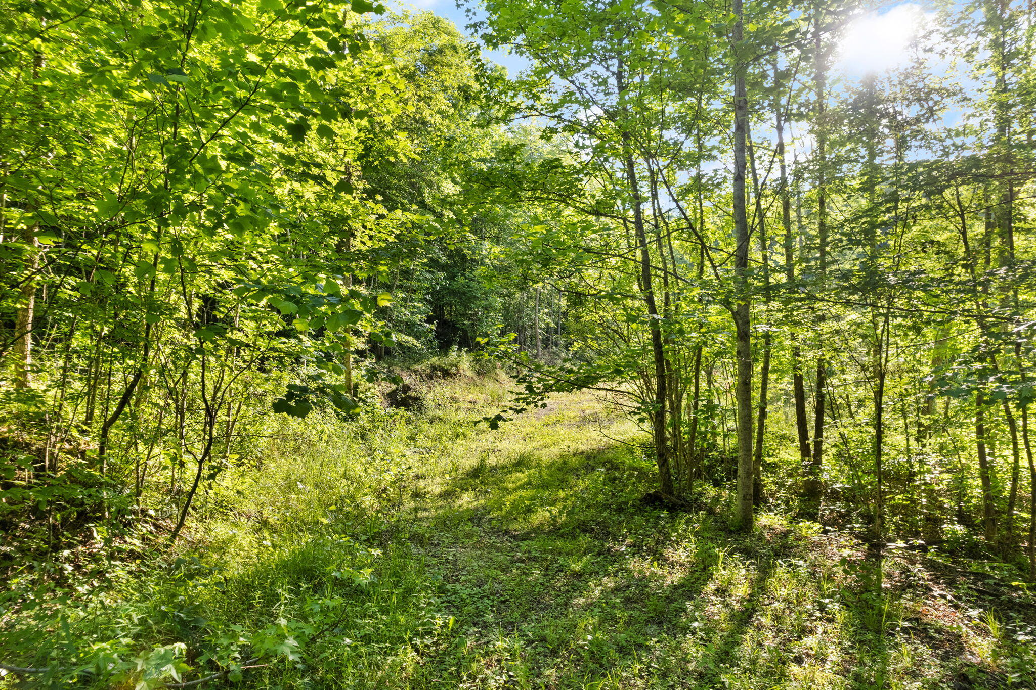 165 Chaneyville Road Stanton, KY 40380 - Photo 2 of 7 59-web-or-mls-DJI_0443