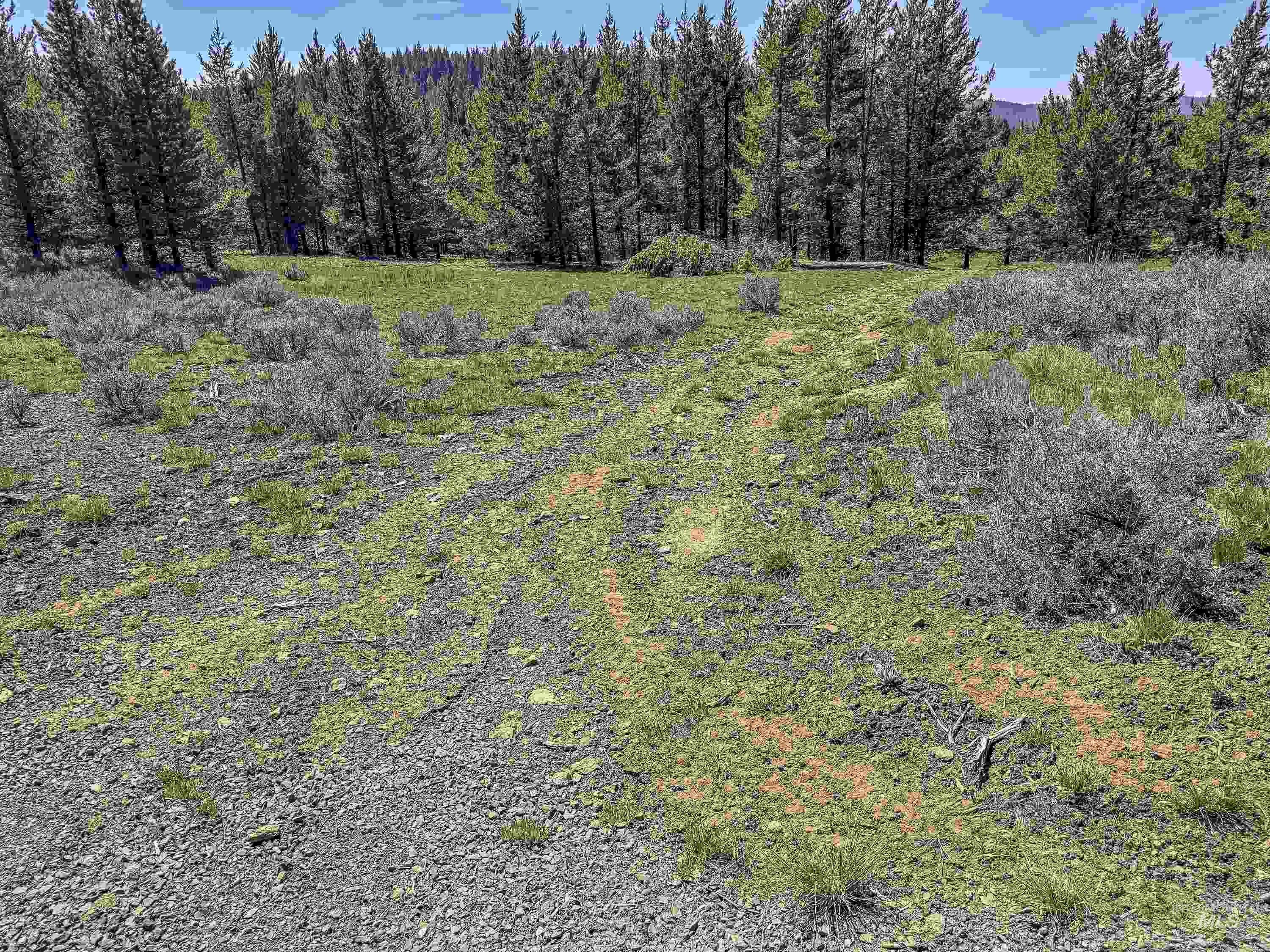 Tbd Deer Creek Road Winchester, ID 83555 - Photo 37 of 39