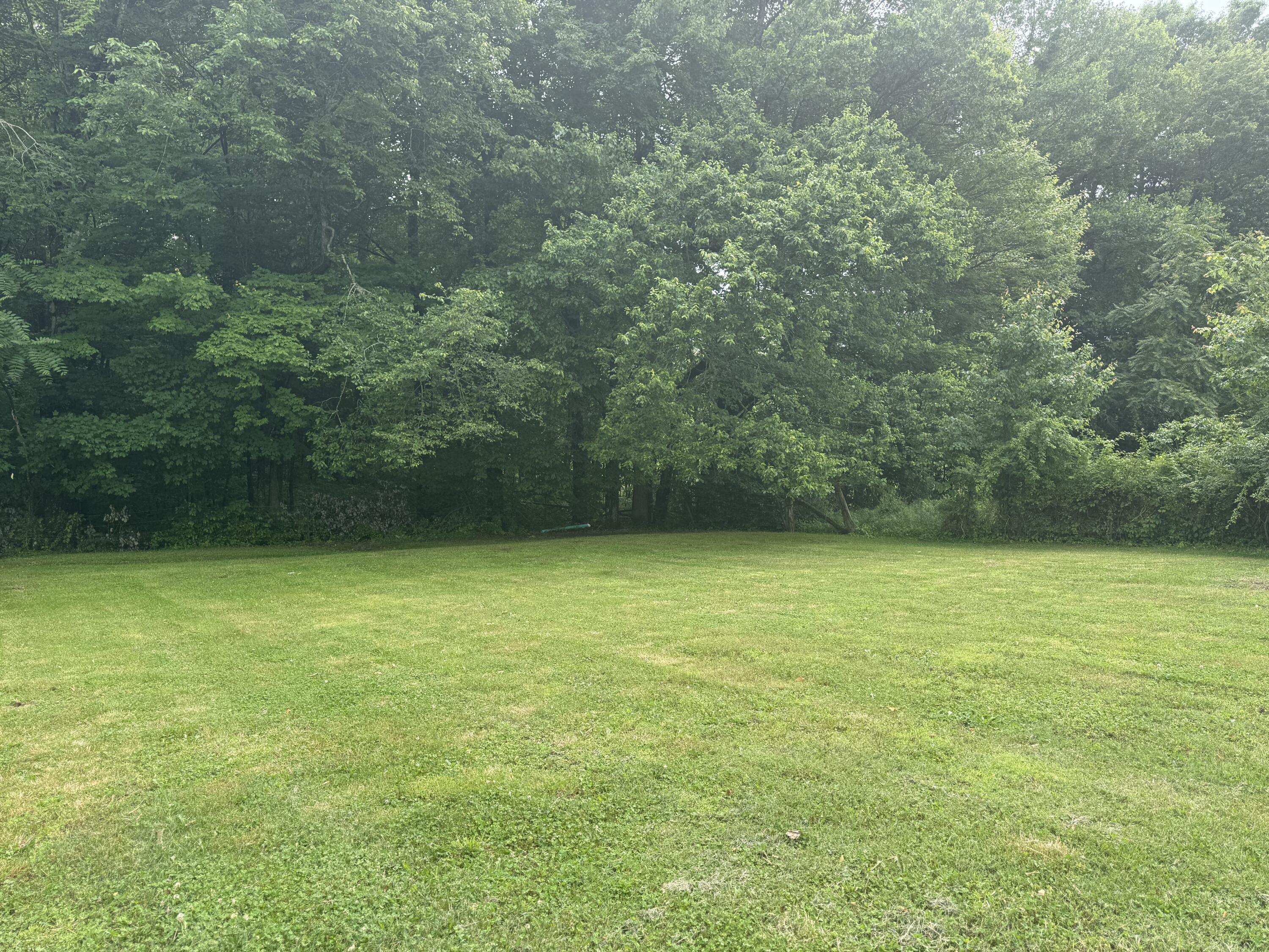 177 Briarpatch Road Russell Springs, KY 42642 - Photo 12 of 14 IMG_0481