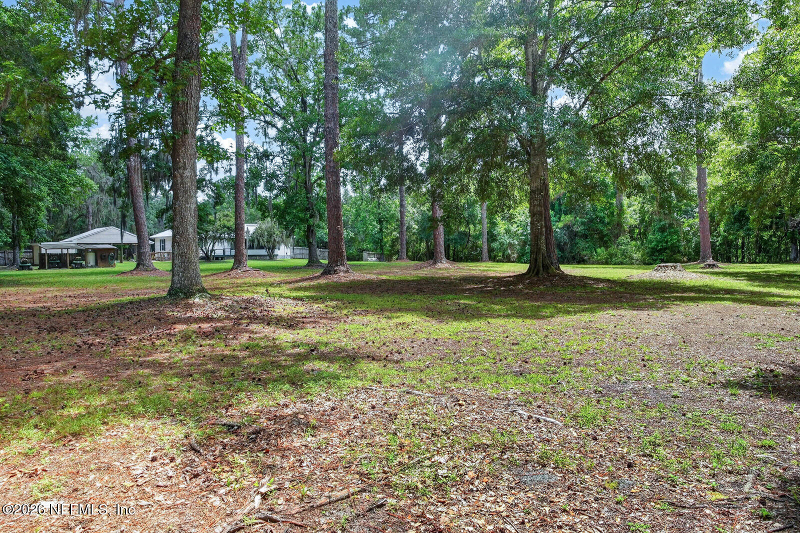 1950 Lightsey Road St. Augustine, FL 32084 - Photo 42 of 57 a view of a park with large trees