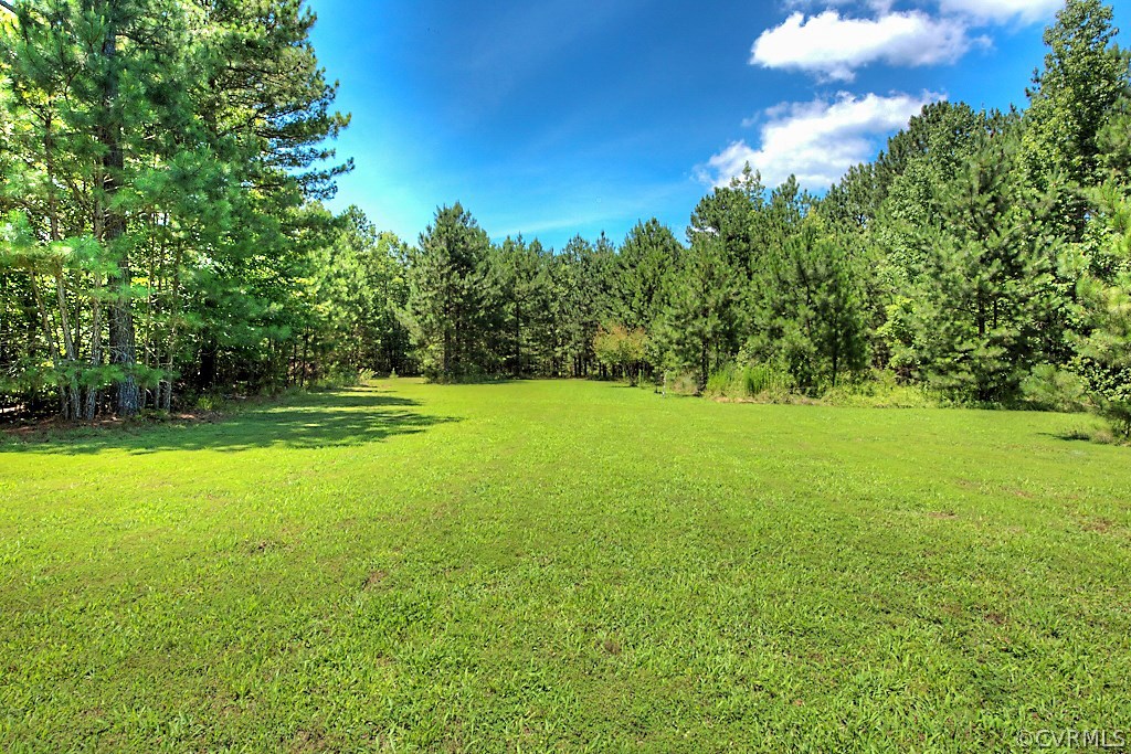 6240 Willow Hill Road Spring Grove, VA 23881 - Photo 9 of 10 Gallery Image 9