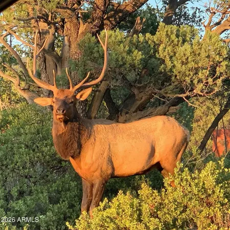 $749,900 | 4823 Rim View Loop, Pine, AZ 85544
