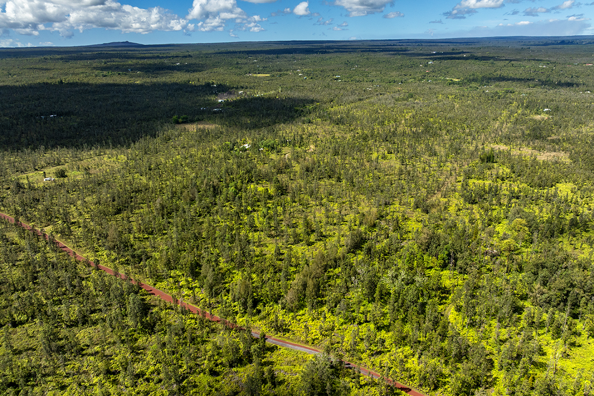 8515 Waimaka O Pele Road Mountain View, HI 96771 - Photo 12 of 16 a view of a green field