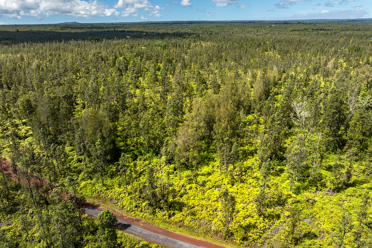 8515 Waimaka O Pele Road Mountain View, HI 96771 - Photo 13 of 16 a view of a lake view