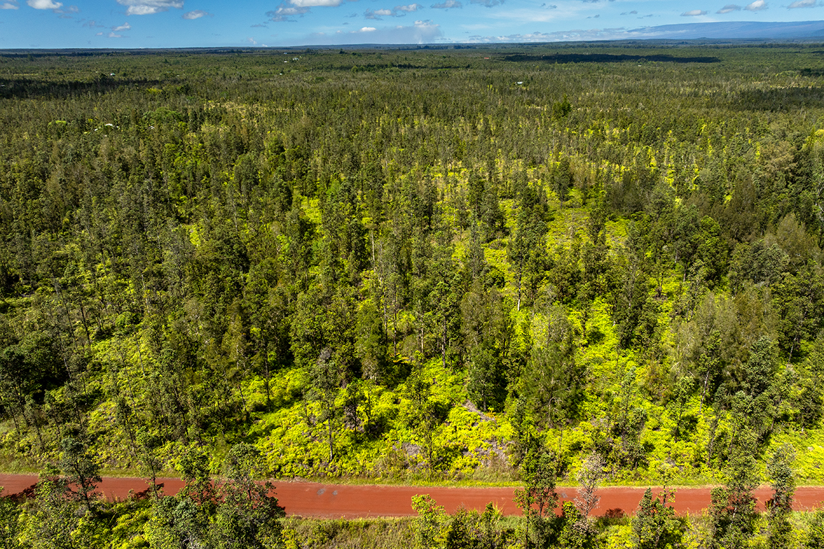 8515 Waimaka O Pele Road Mountain View, HI 96771 - Photo 14 of 16 a view of a large body of water with a large tree