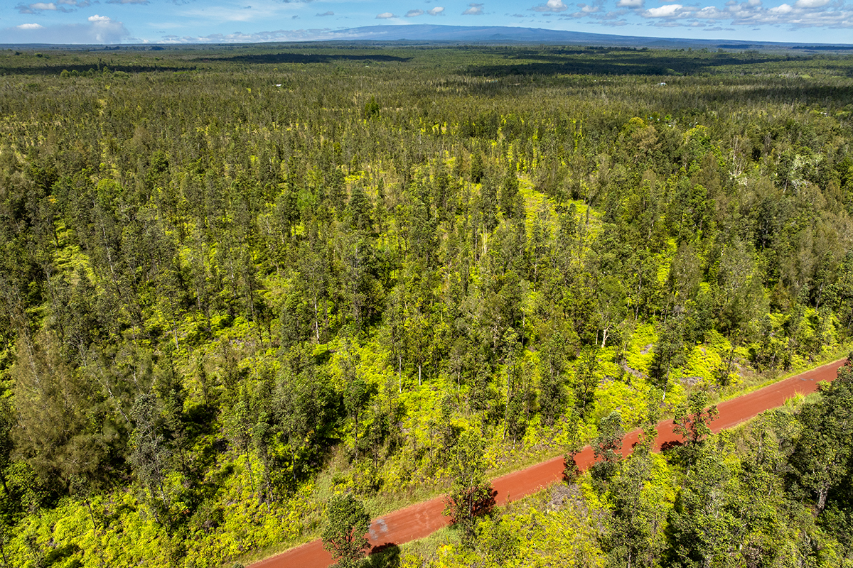 8515 Waimaka O Pele Road Mountain View, HI 96771 - Photo 15 of 16 a view of a lake view