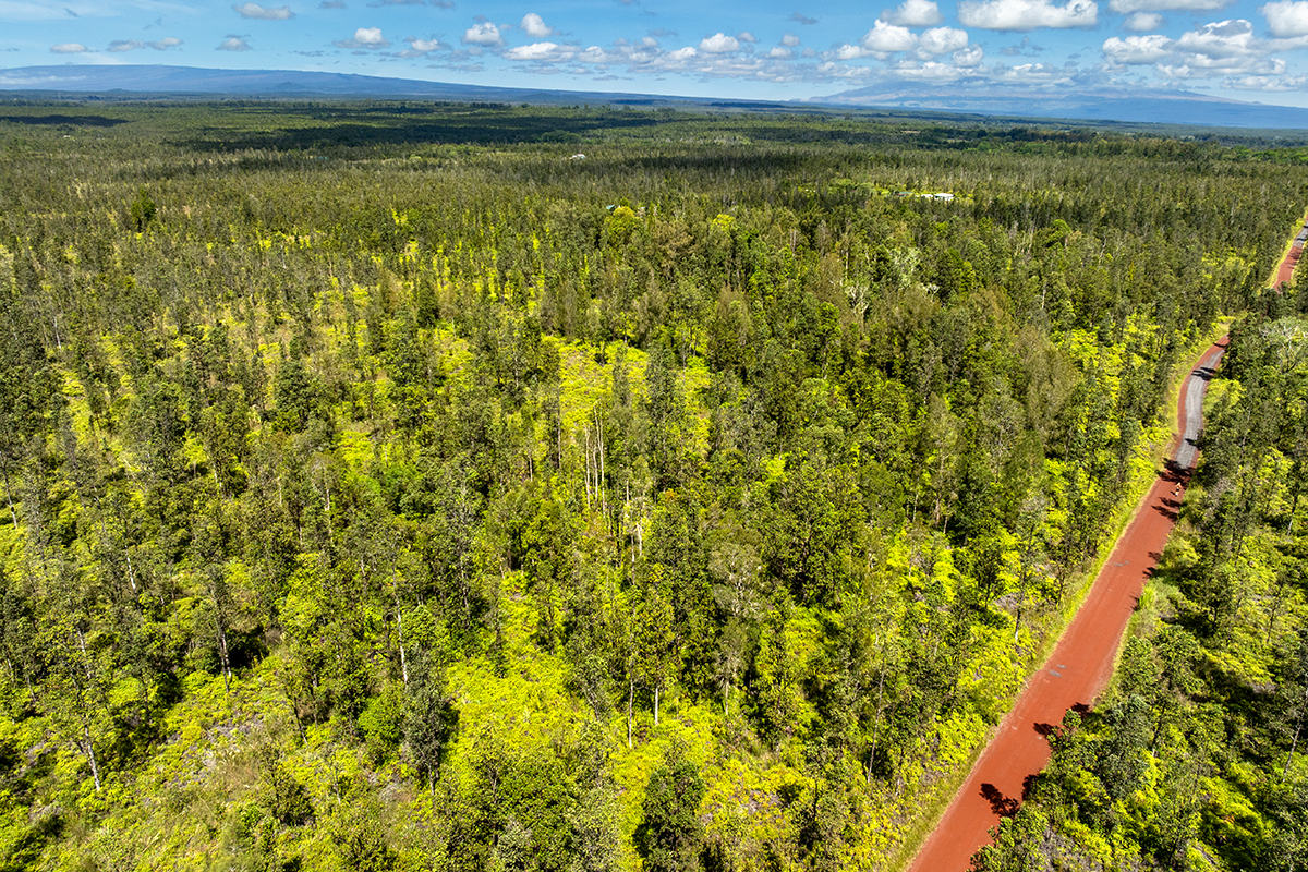8515 Waimaka O Pele Road Mountain View, HI 96771 - Photo 16 of 16 a view of a lake from a yard