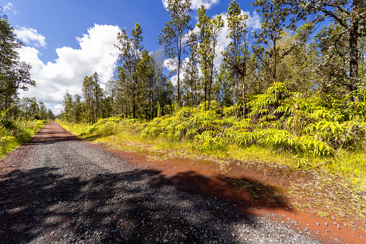 8515 Waimaka O Pele Road Mountain View, HI 96771 - Photo 2 of 16 a view of a yard with a trees