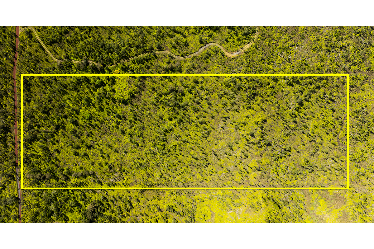 8515 Waimaka O Pele Road Mountain View, HI 96771 - Photo 3 of 16 a view of a balcony