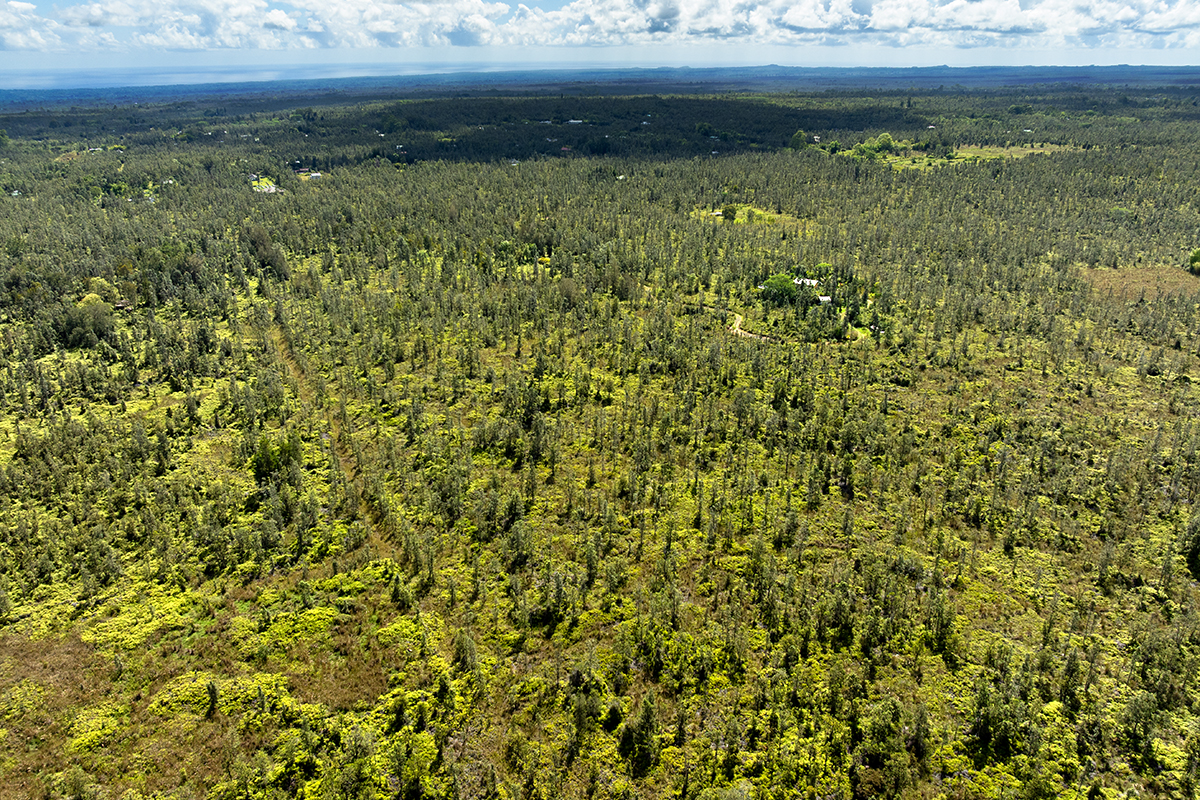 8515 Waimaka O Pele Road Mountain View, HI 96771 - Photo 4 of 16 a view of a pathway both side of a yard