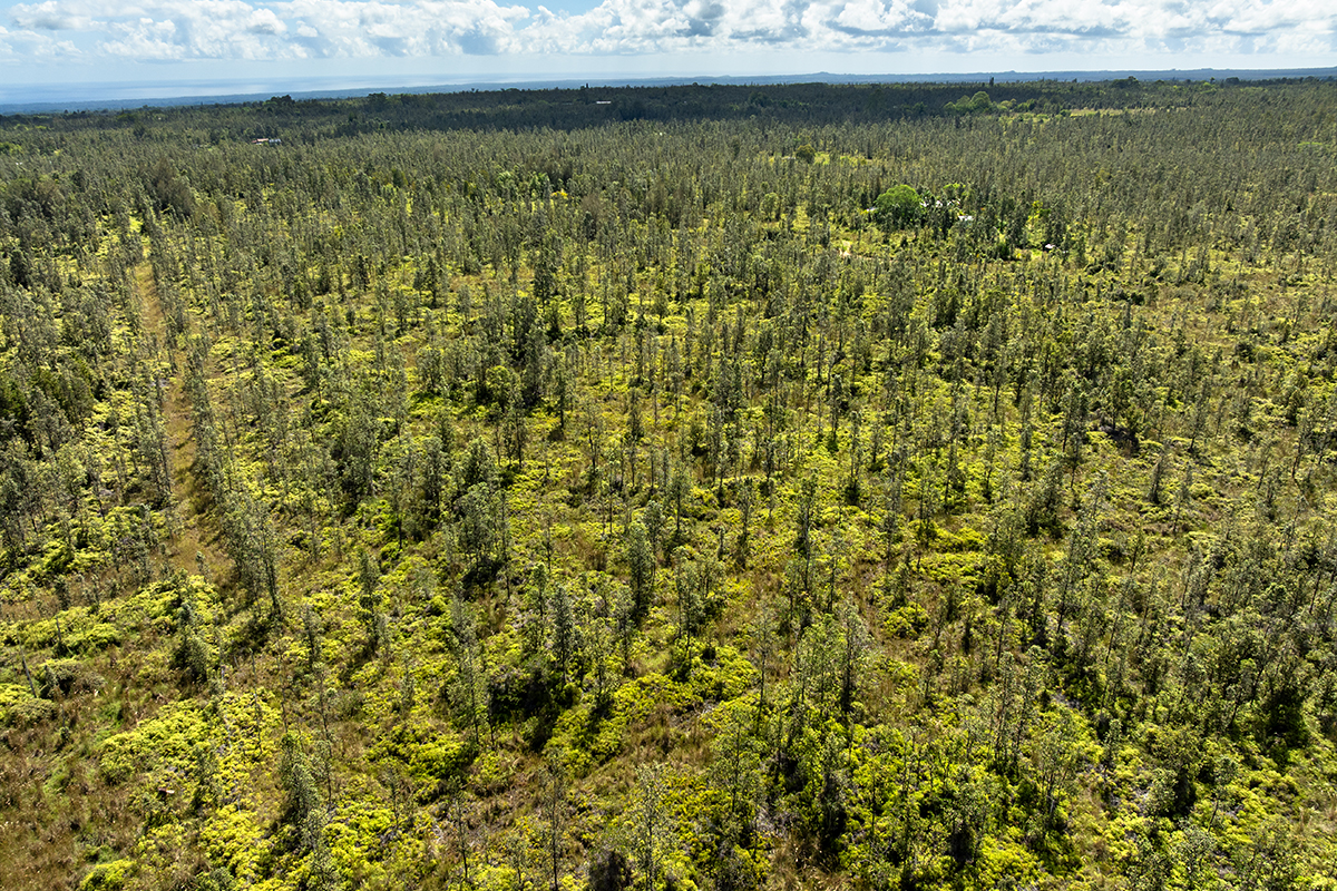 8515 Waimaka O Pele Road Mountain View, HI 96771 - Photo 5 of 16 a view of a lake from a yard