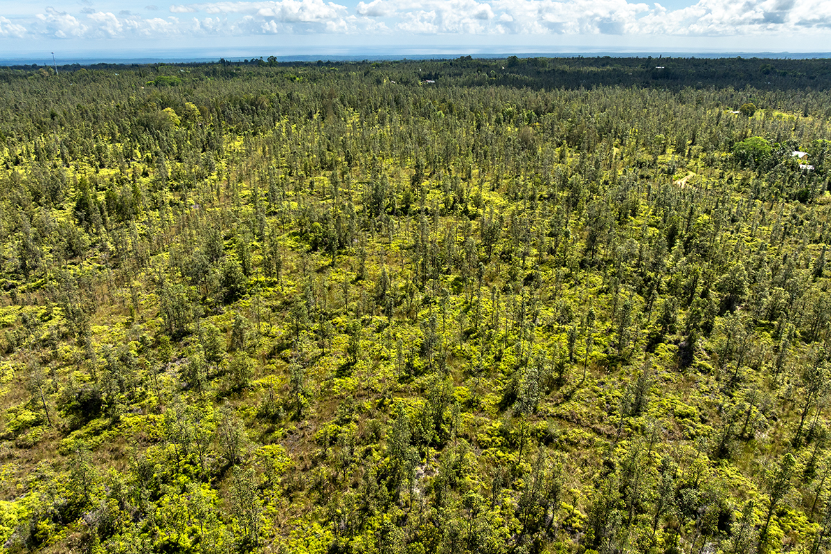 8515 Waimaka O Pele Road Mountain View, HI 96771 - Photo 6 of 16 a view of a lake view