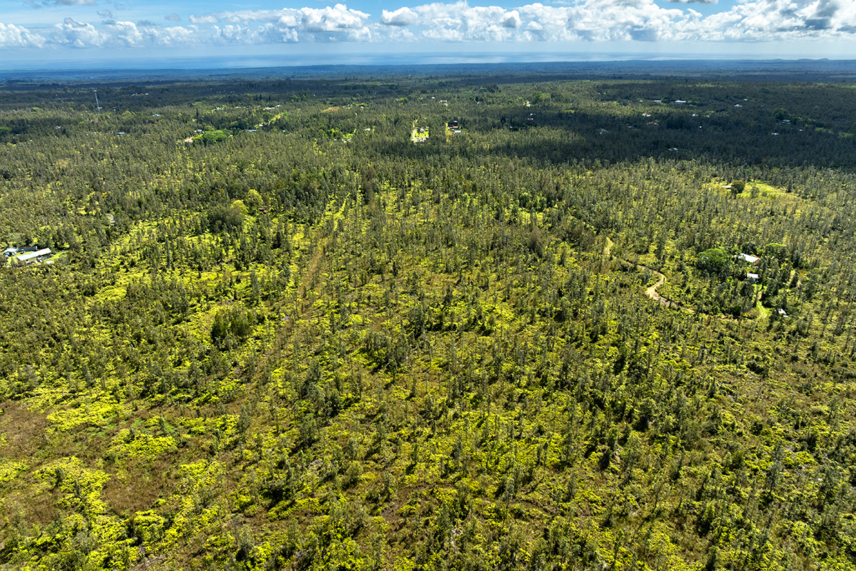 8515 Waimaka O Pele Road Mountain View, HI 96771 - Photo 7 of 16 a view of an outdoor space and a lake view