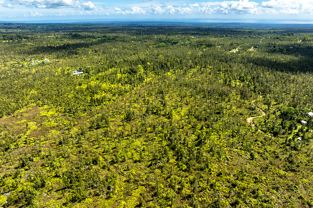 8515 Waimaka O Pele Road Mountain View, HI 96771 - Photo 8 of 16 a view of a lake with a city