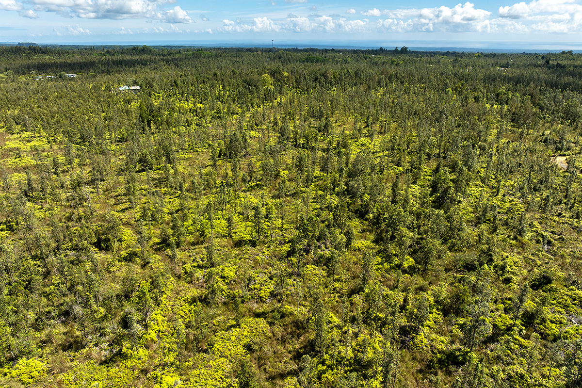 8515 Waimaka O Pele Road Mountain View, HI 96771 - Photo 9 of 16 a view of a yard with an outdoor space