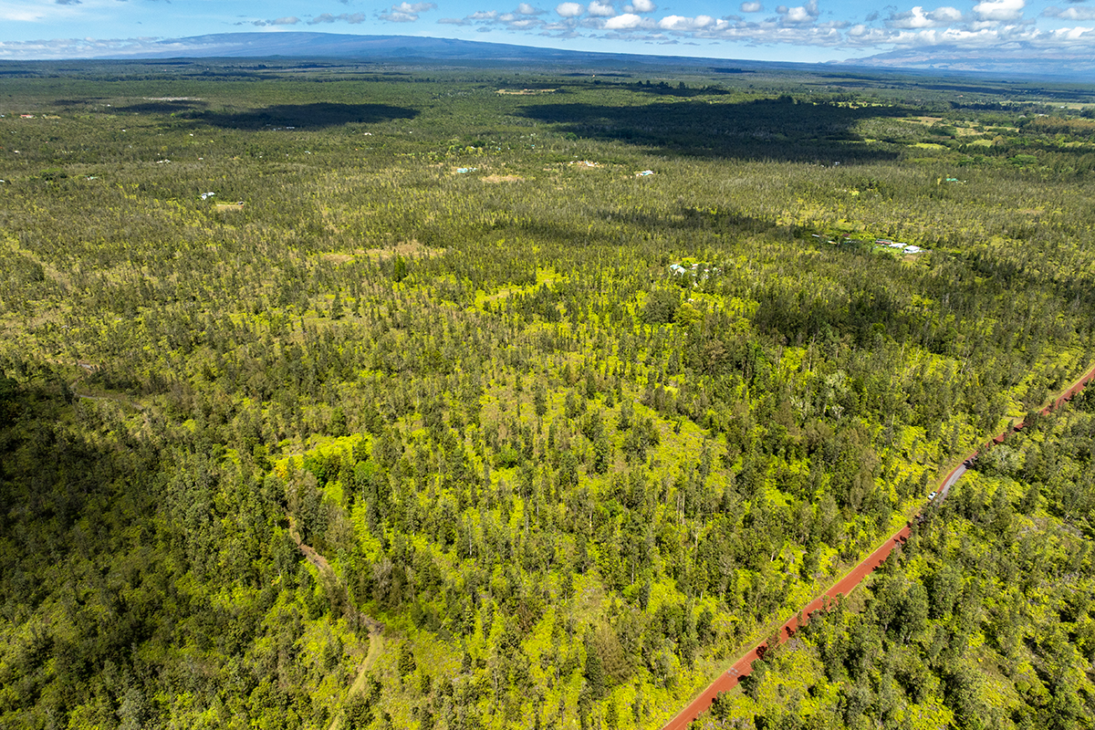 8515 Waimaka O Pele Road Mountain View, HI 96771 - Photo 10 of 16 a view of a lake view
