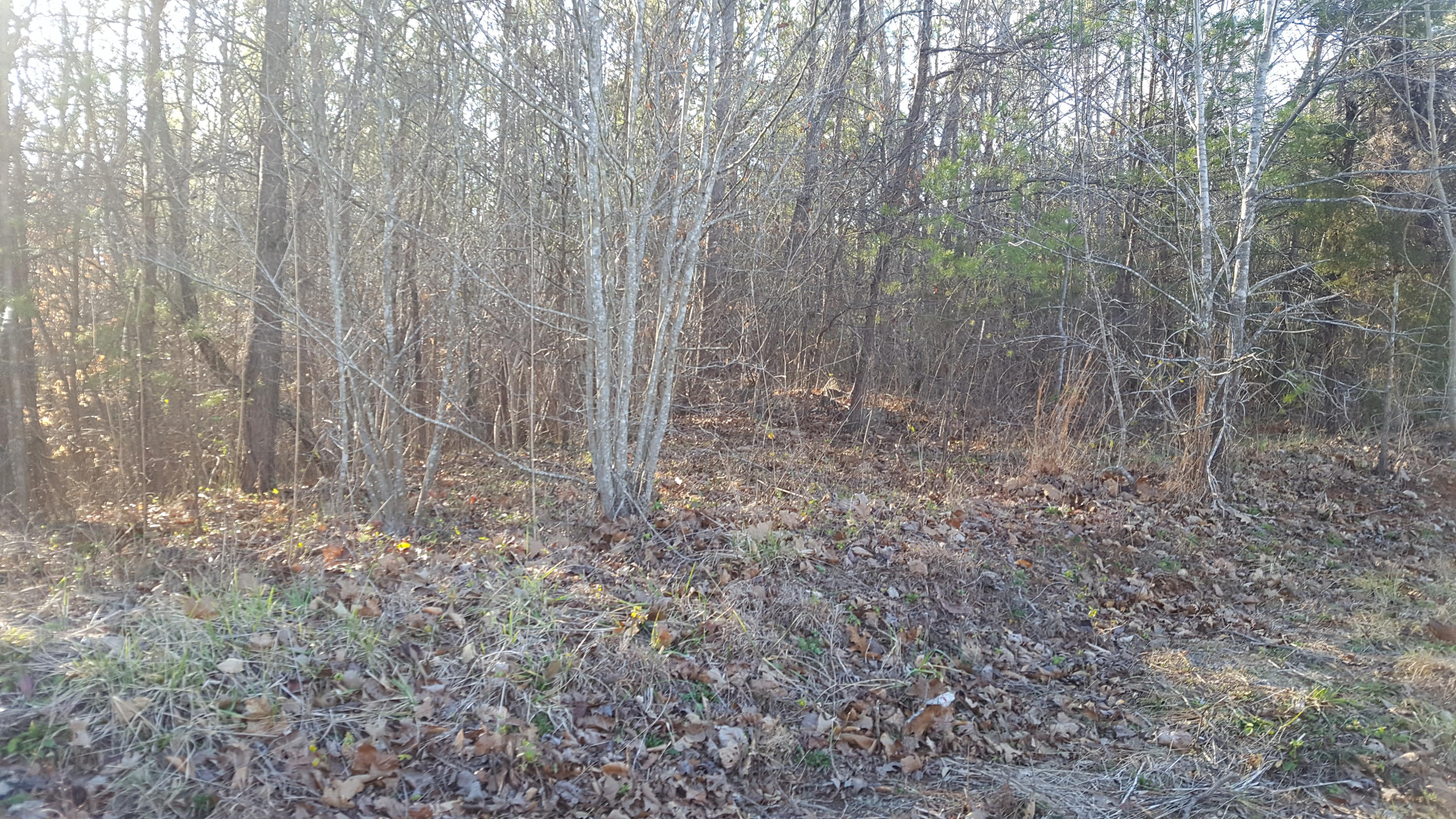 Lot A Truevine Road Glade Hill, VA 24092 - Photo 1 of 1 View of Lot