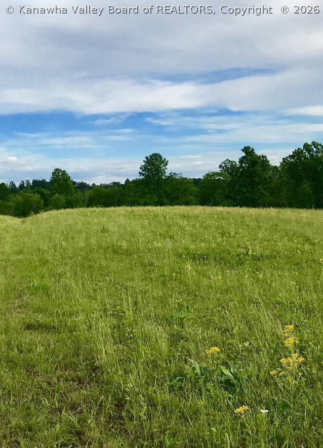 247 White Pine Road Kenna, WV 25248 - Photo 1 of 18 Gallery Image 1