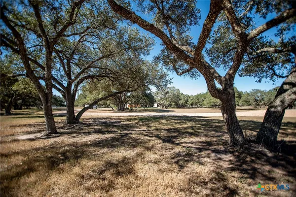 a view of outdoor space with lots of trees