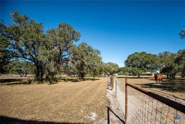 a view of a backyard with pathway