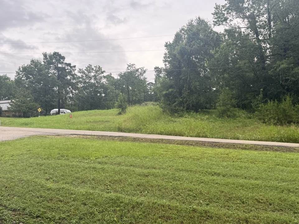 Tbd Holiday Boulevard Coldspring, TX 77331 - Photo 1 of 5