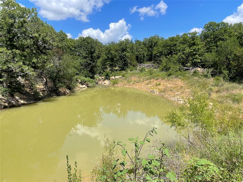 0 Lower Tonk Valley Road Graham, TX 76450 - Photo 5 of 35