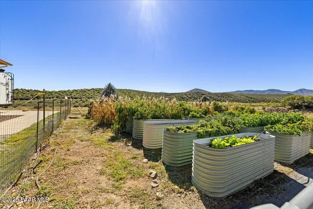 a view of a terrace with couches and wooden floor