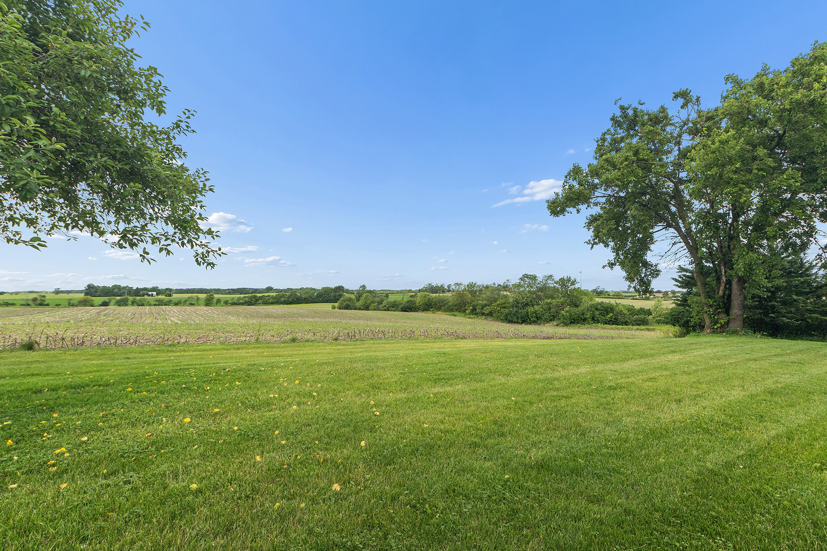 27412 South Kuersten Road Monee, IL 60449 - Photo 30 of 51