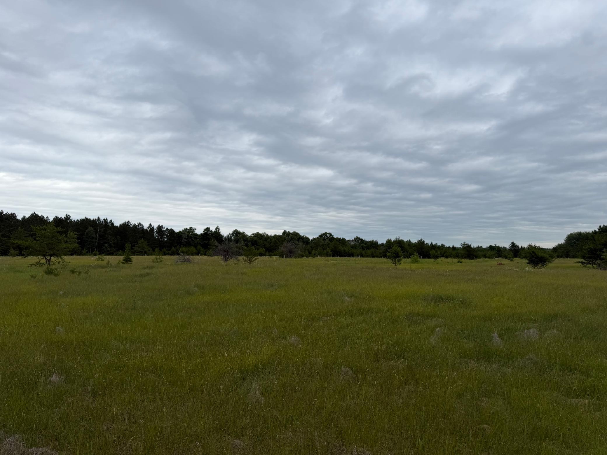 Tbd 350th Street Sebeka, MN 56477 - Photo 73 of 100
