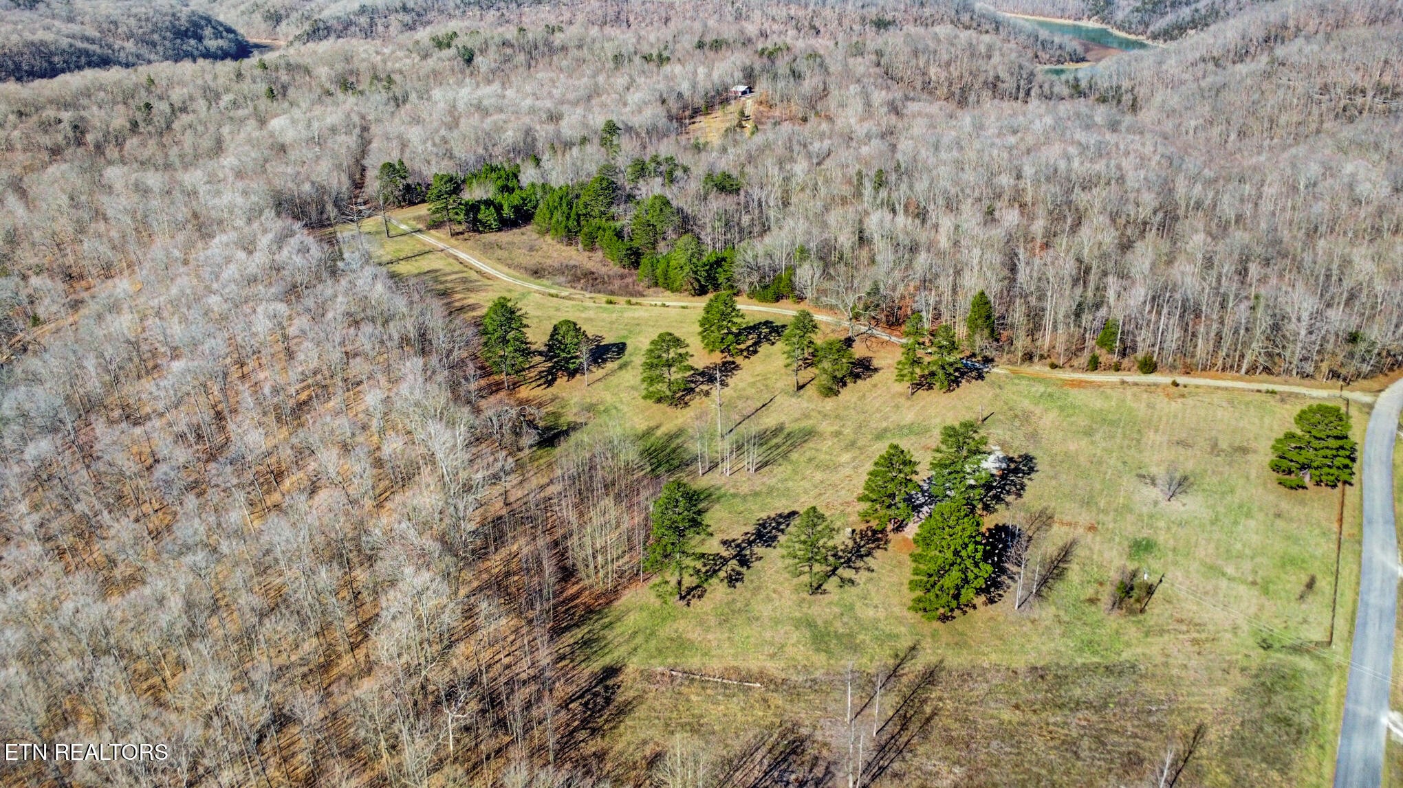5031 Robbinstown Road Byrdstown, TN 38549 - Photo 13 of 60 a view of a yard with trees