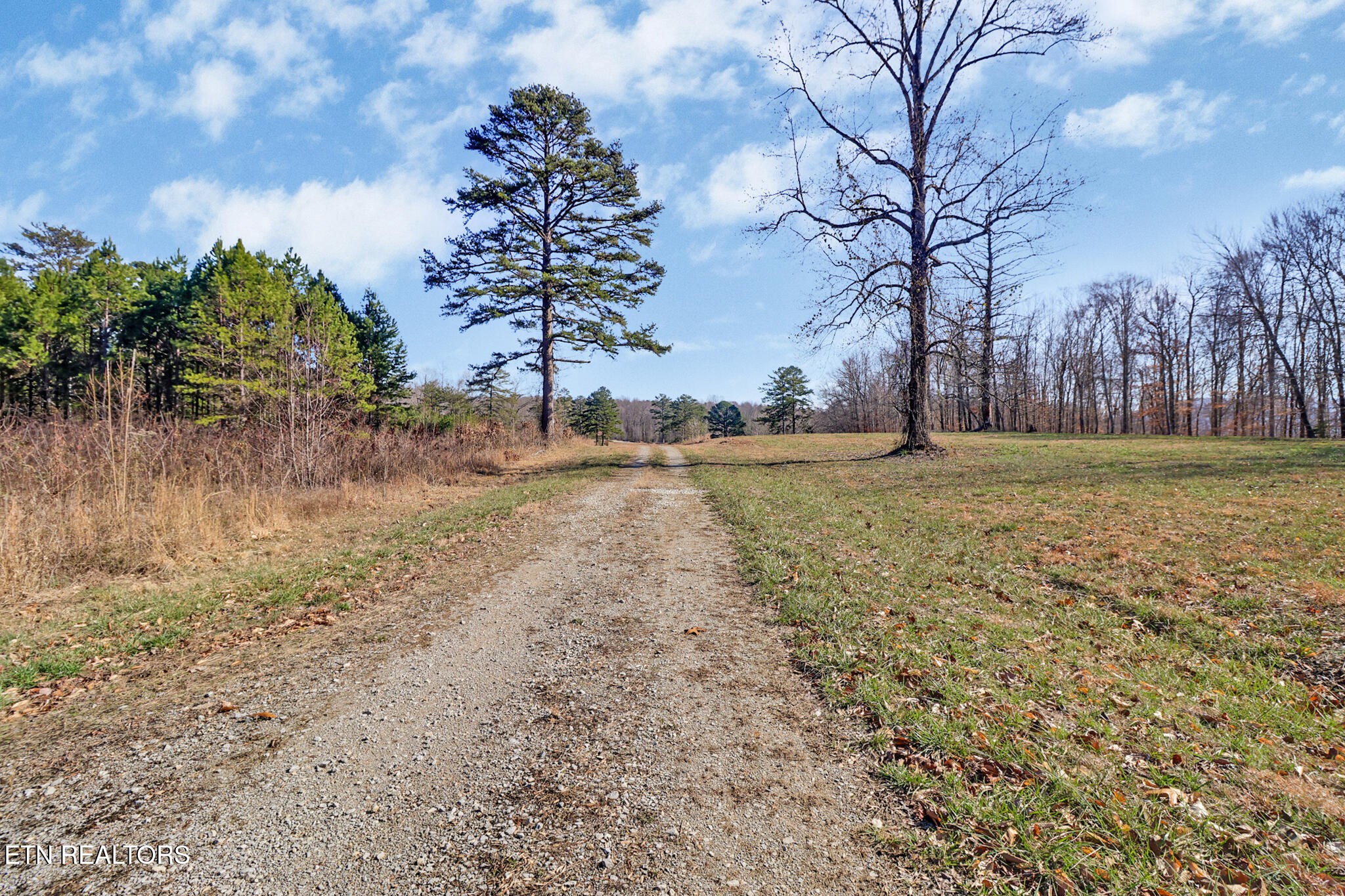 5031 Robbinstown Road Byrdstown, TN 38549 - Photo 23 of 60 a backyard of a house with lots of green space
