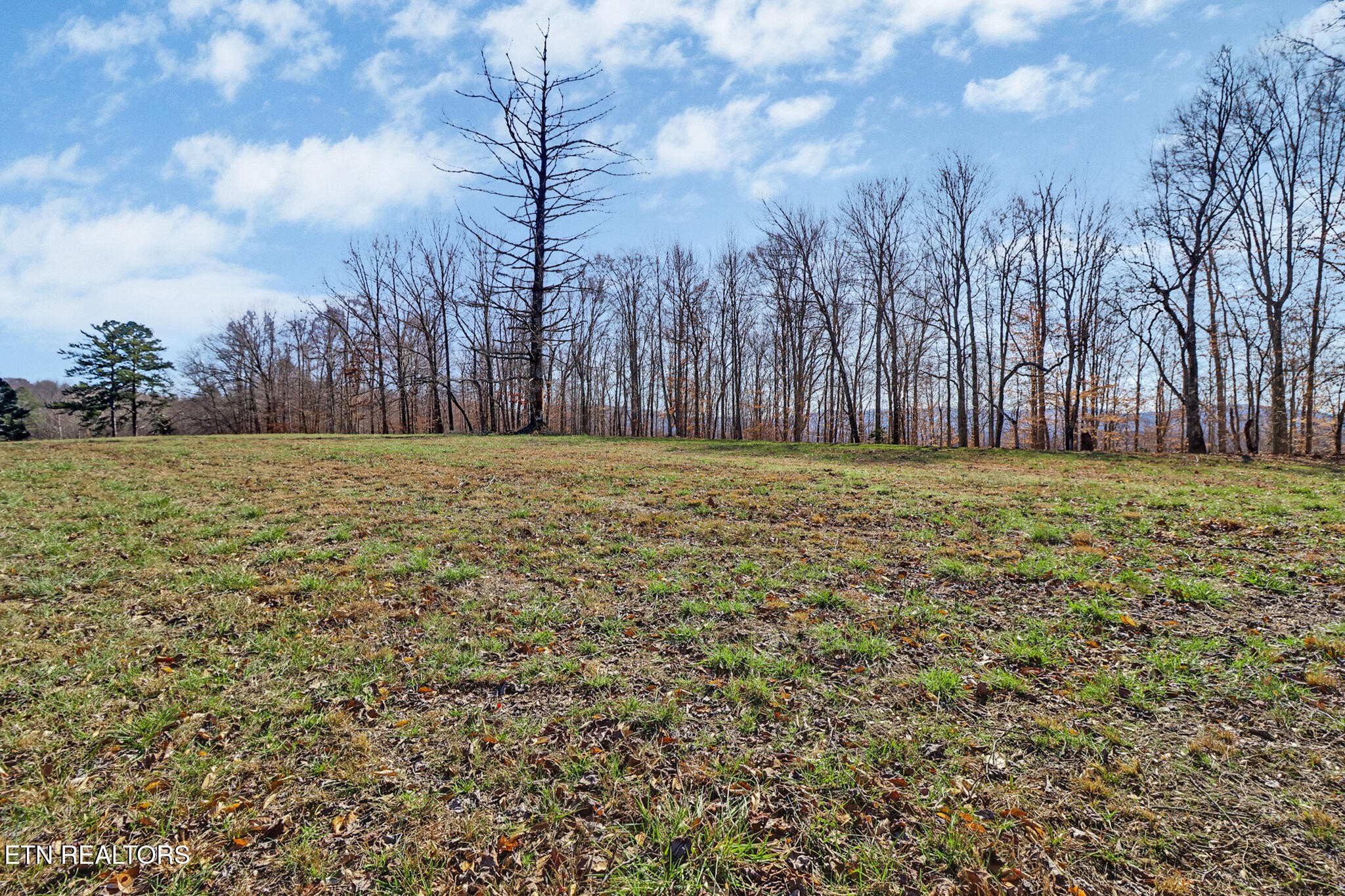 5031 Robbinstown Road Byrdstown, TN 38549 - Photo 25 of 60 a view of outdoor space with trees all around