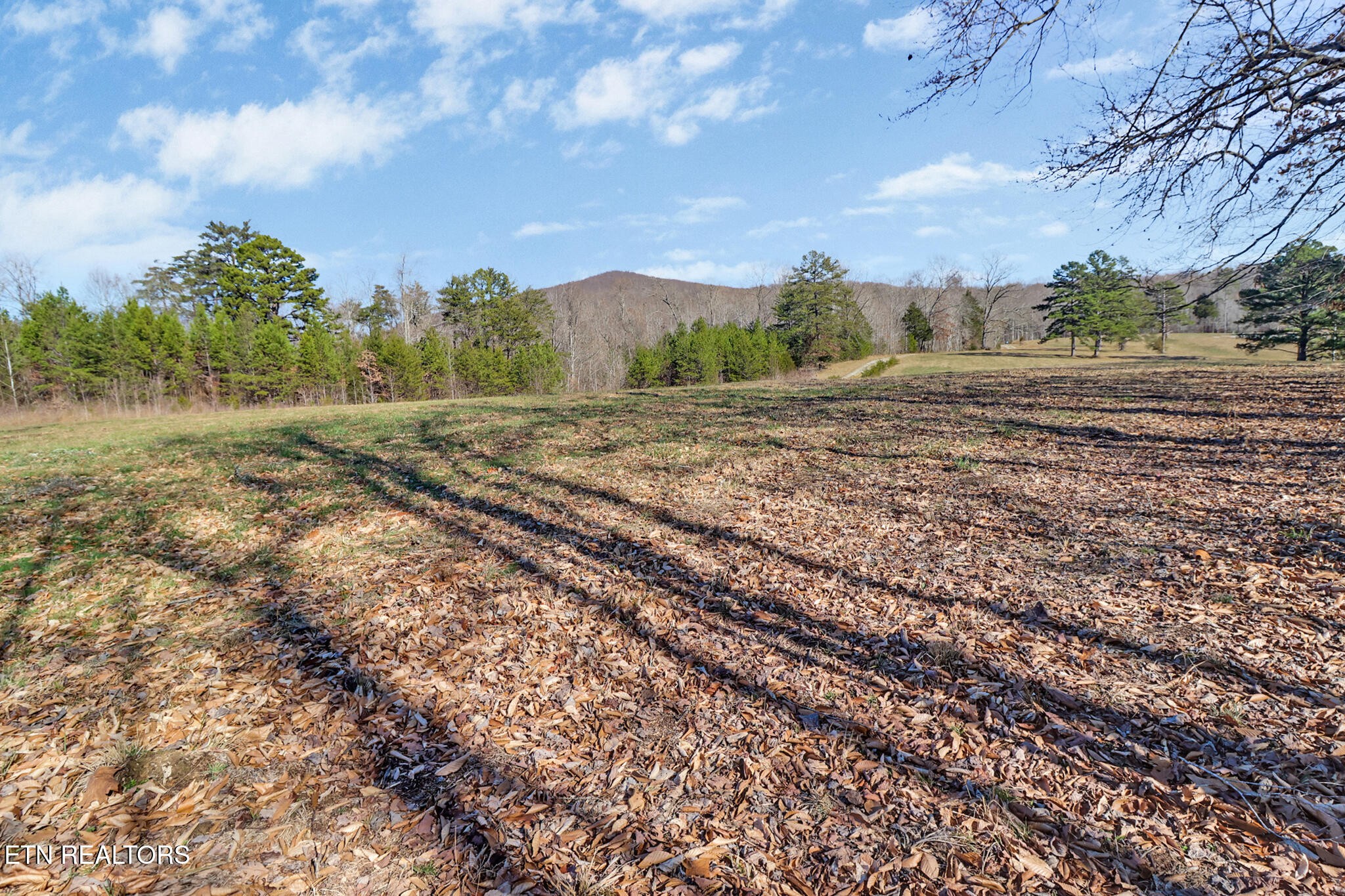 5031 Robbinstown Road Byrdstown, TN 38549 - Photo 27 of 60 a view of a yard with an outdoor space