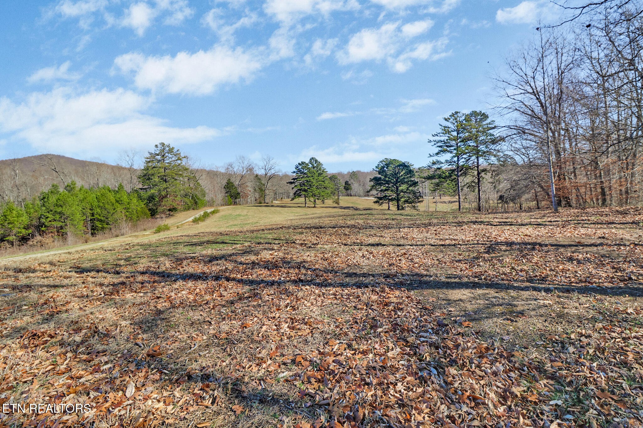 5031 Robbinstown Road Byrdstown, TN 38549 - Photo 28 of 60 a view of a yard and mountain view