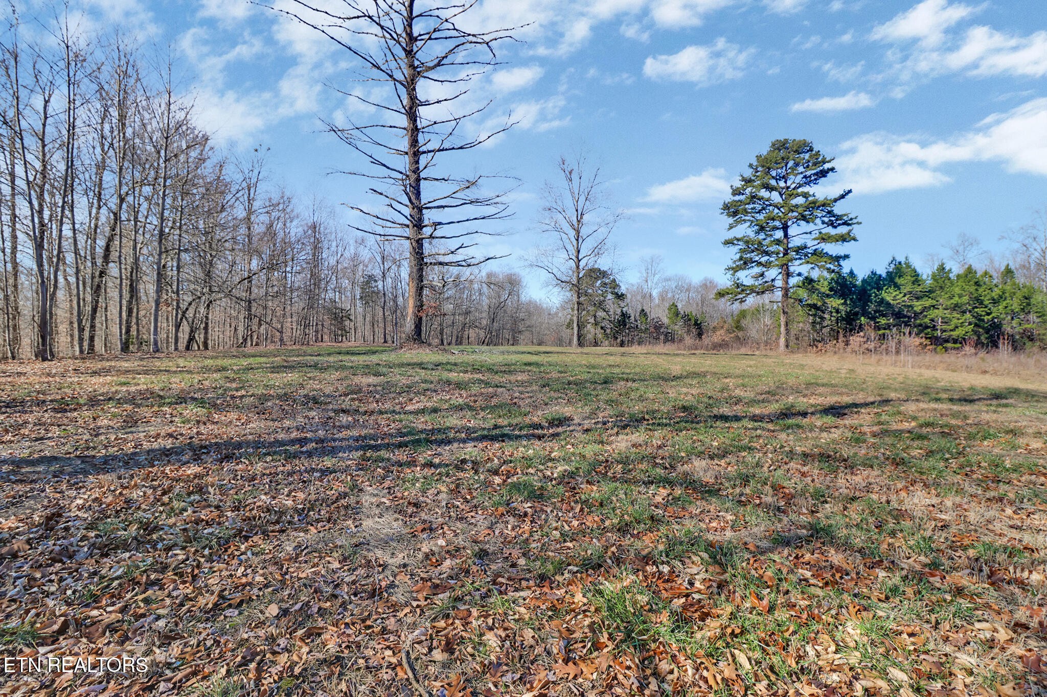 5031 Robbinstown Road Byrdstown, TN 38549 - Photo 29 of 60 a big yard with lots of green space