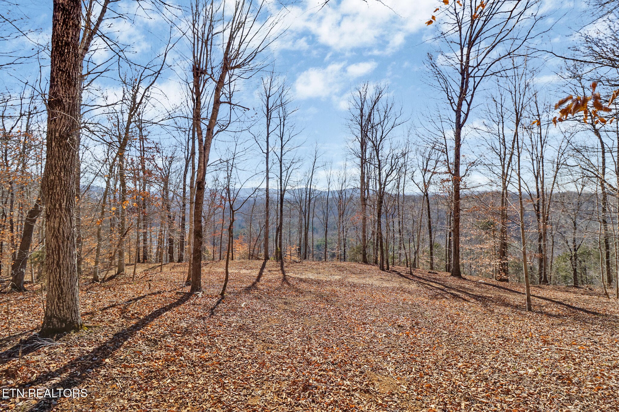 5031 Robbinstown Road Byrdstown, TN 38549 - Photo 30 of 60 a backyard of a house with trees