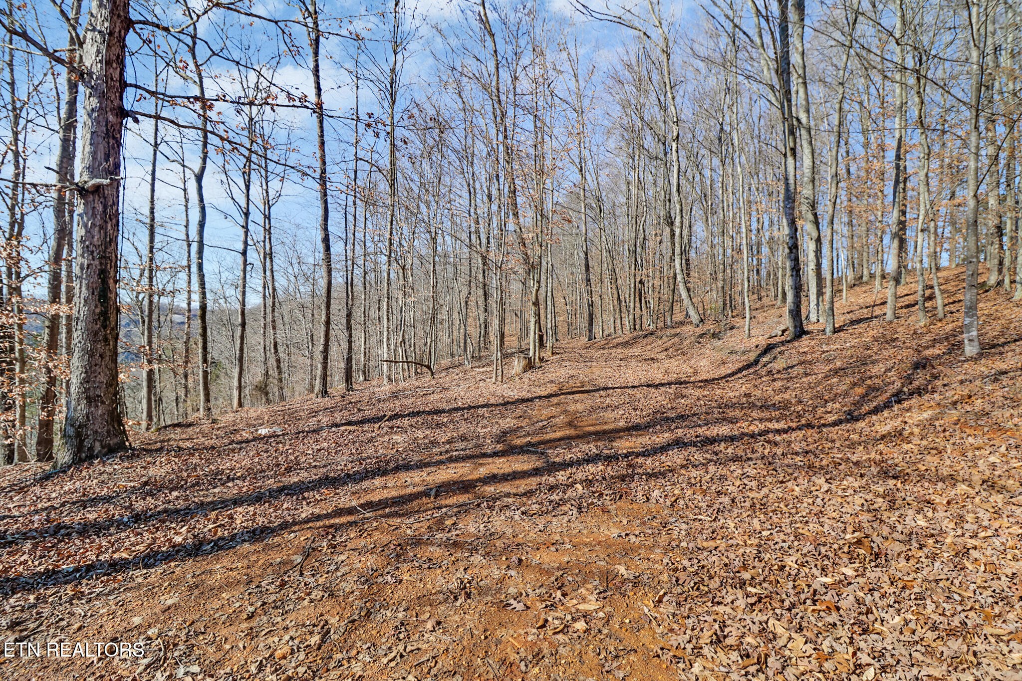 5031 Robbinstown Road Byrdstown, TN 38549 - Photo 31 of 60 a view of a backyard of the house