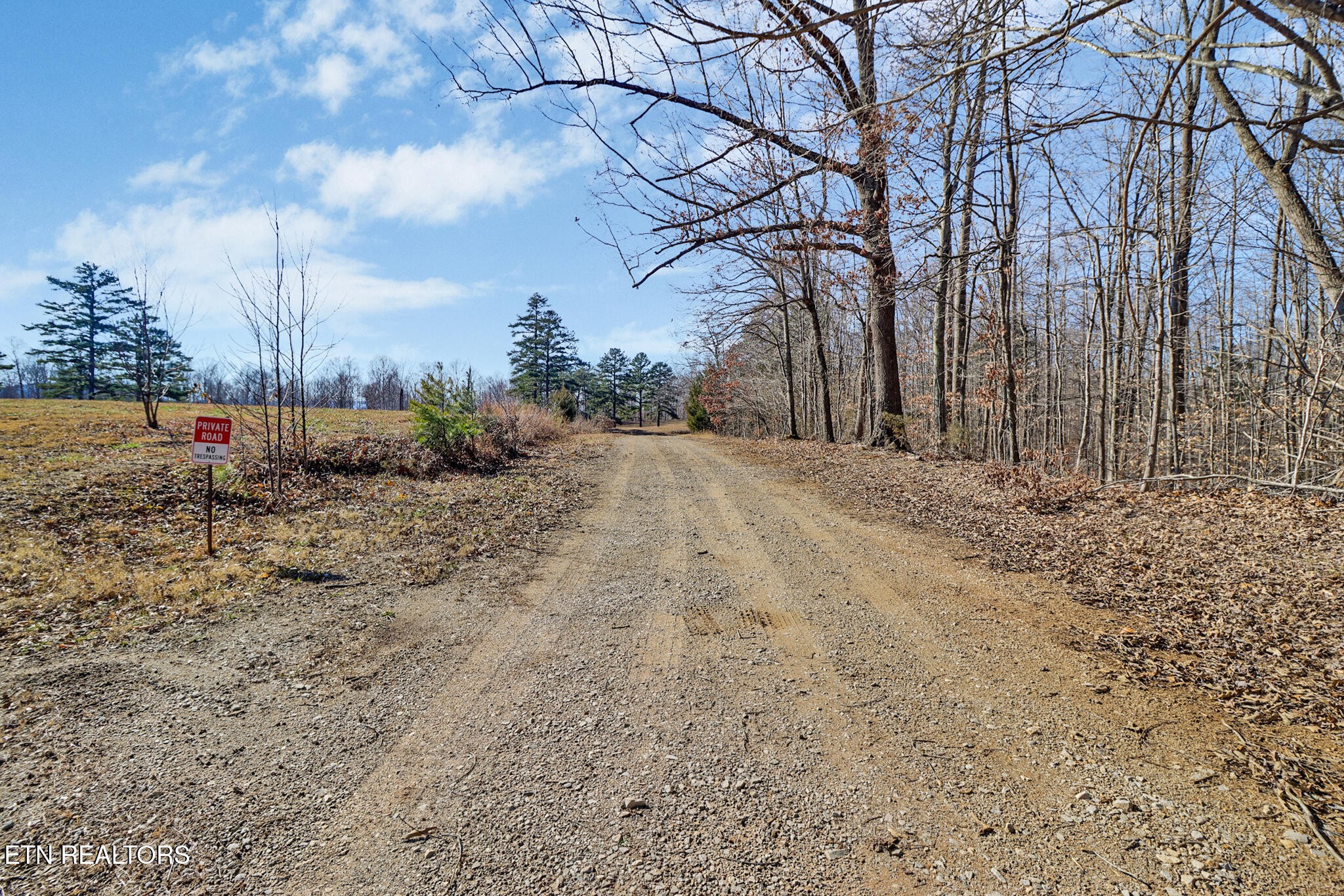 5031 Robbinstown Road Byrdstown, TN 38549 - Photo 40 of 60 a view of dirt yard with a tree