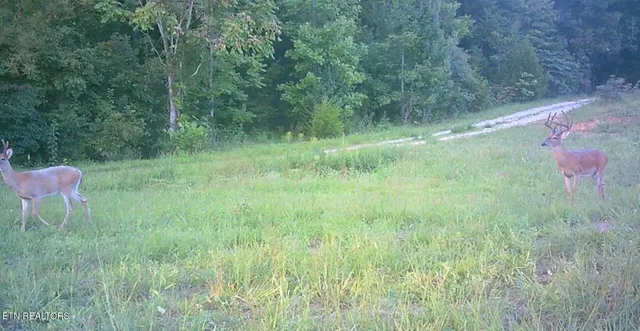 $525,000 | 5031 Robbinstown Road, Byrdstown, TN 38549