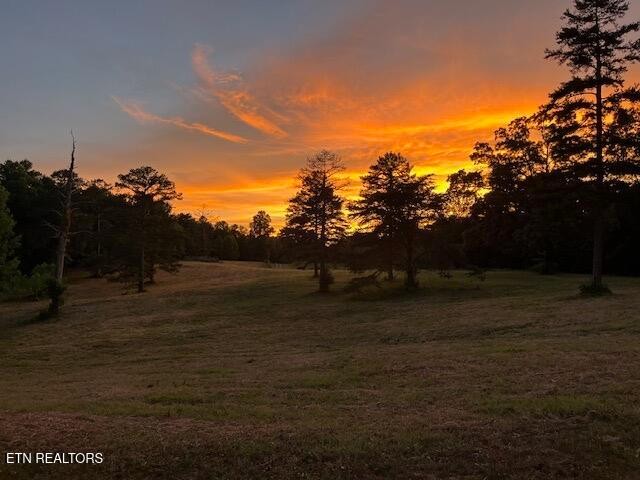 5031 Robbinstown Road Byrdstown, TN 38549 - Photo 59 of 60