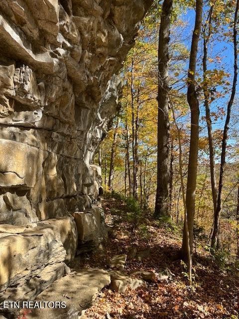 5031 Robbinstown Road Byrdstown, TN 38549 - Photo 60 of 60 a view of outdoor space