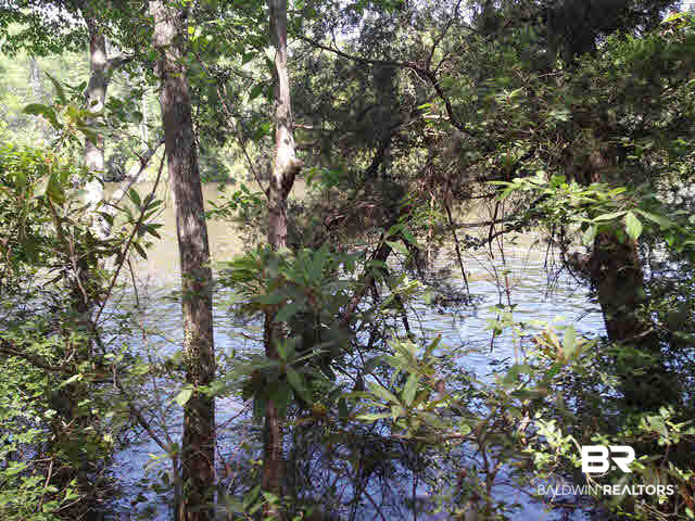 33399 Juniper Road Seminole, AL 36574 - Photo 2 of 13