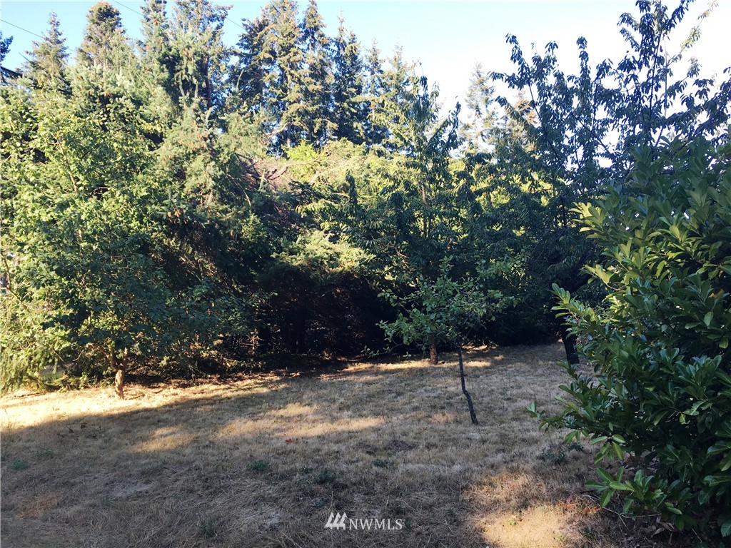 4968 G Loop Bow, WA 98232 - Photo 6 of 7 Gallery Image 6